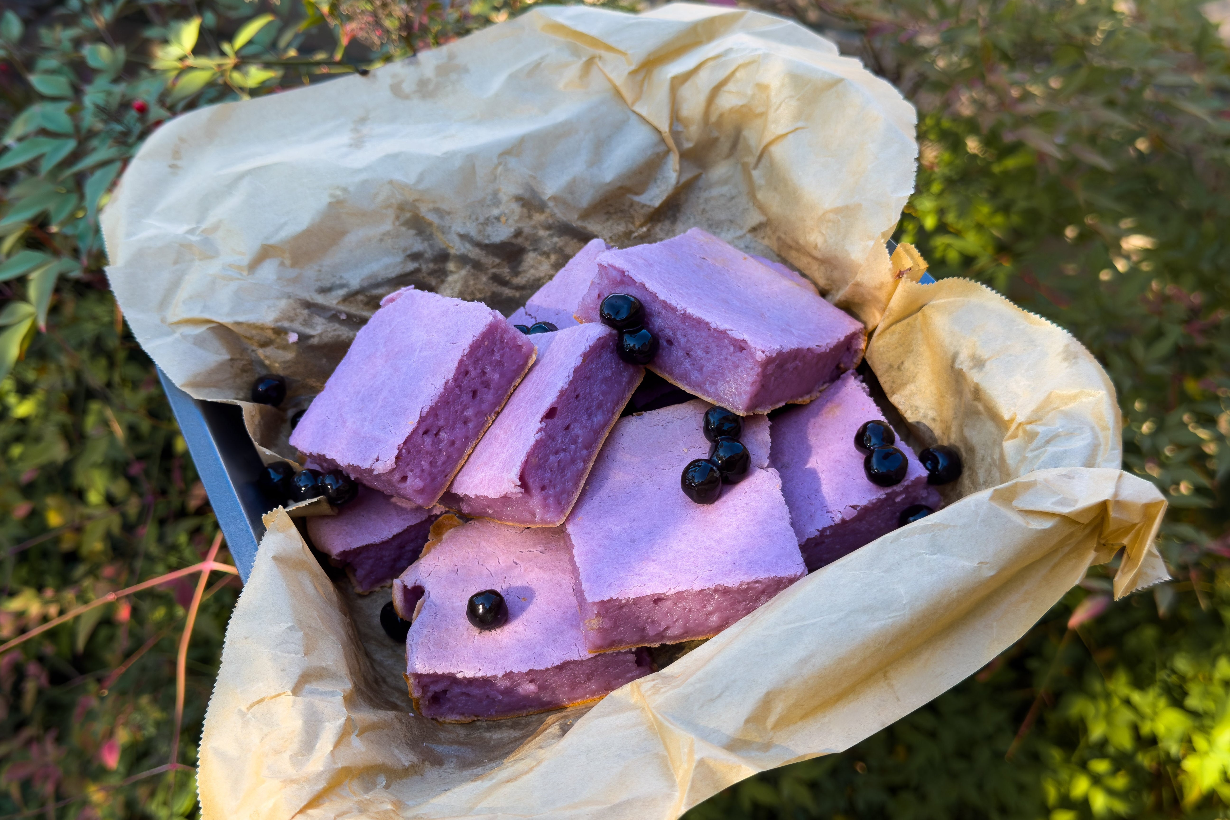 Taro Mochi Brownies