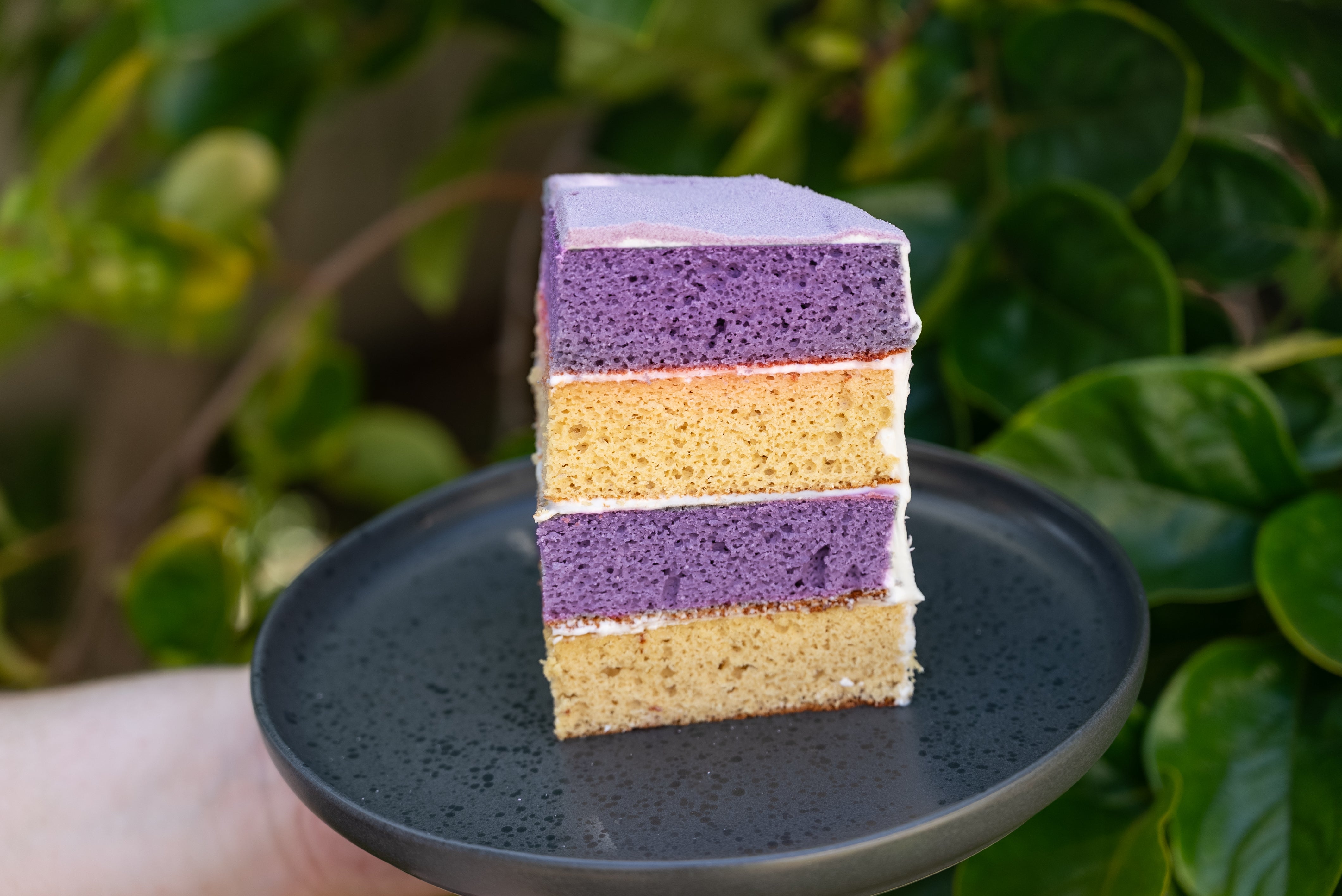 Taro and Jasmine Birthday Cake