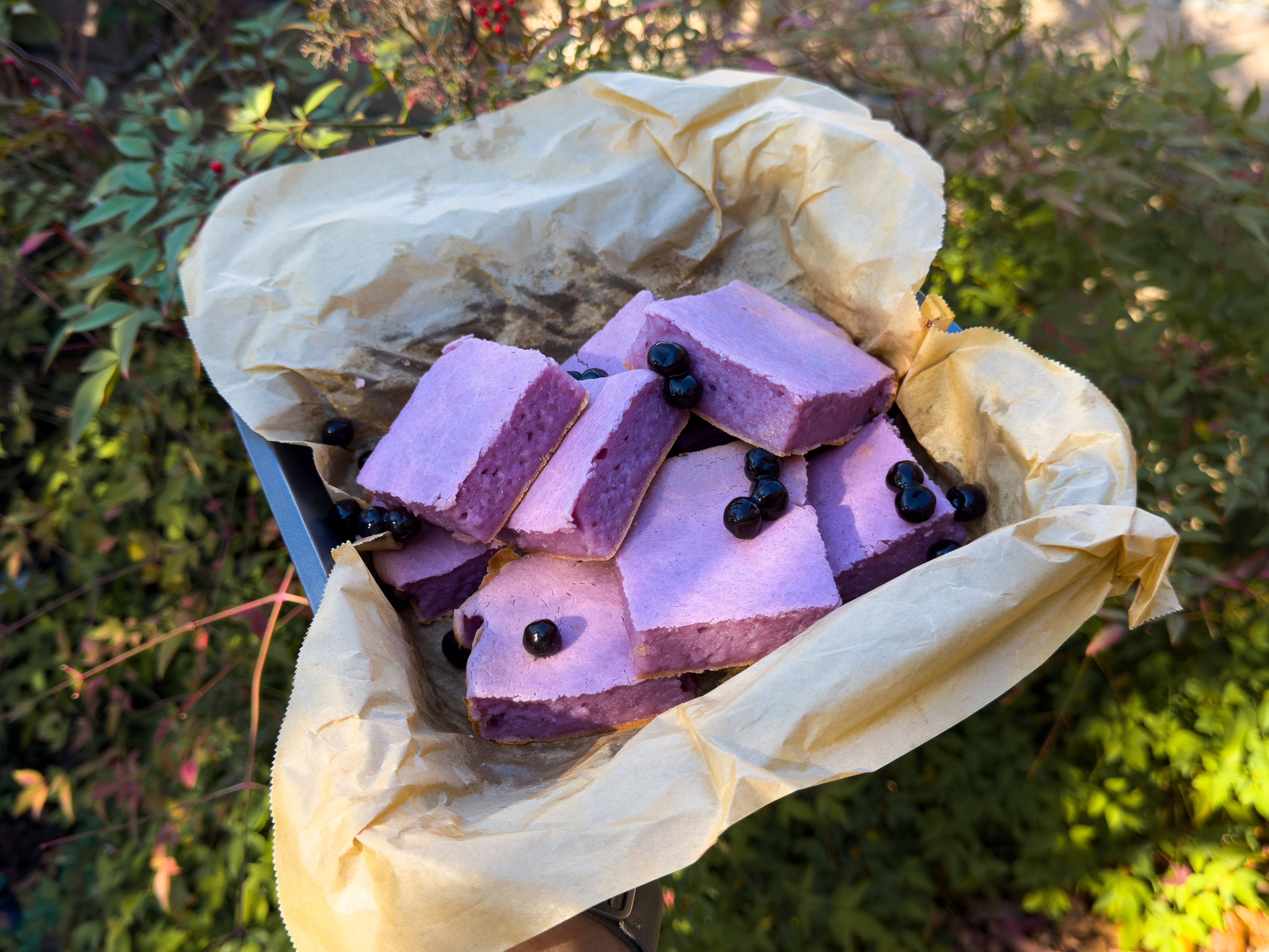 Taro Mochi Brownies-Boba Tea Protein